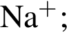 \ChemFormNa в сте­пе­ни п люс ;