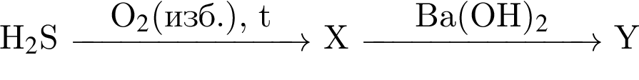 H_2$S \reactrarrow0pt2.5 cmO_2$ левая круг­лая скоб­ка изб. пра­вая круг­лая скоб­ка , t X \reactrarrow0pt2.5 cmBa левая круг­лая скоб­ка OH пра­вая круг­лая скоб­ка _2 Y