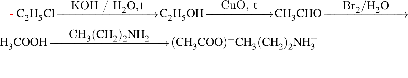\ChemFormC_2H_5Cl \reactrarrow0pt3 cmKOH / H_2O, t C_2H_5OH \reactrarrow0pt2 cmCuO, t CH_3CHO \reactrarrow0pt2.5 cmBr_2 / H_2O CH_3COOH \reactrarrow0pt3.5 cmCH_3 левая круг­лая скоб­ка CH_2 пра­вая круг­лая скоб­ка _2NH_2 левая круг­лая скоб­ка CH_3COO пра­вая круг­лая скоб­ка в сте­пе­ни м инус CH_3 левая круг­лая скоб­ка CH_2 пра­вая круг­лая скоб­ка _2NH_3 в сте­пе­ни п люс 