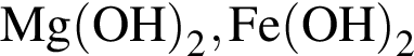\ChemFormMg левая круг­лая скоб­ка OH пра­вая круг­лая скоб­ка _2, Fe левая круг­лая скоб­ка OH пра­вая круг­лая скоб­ка _2