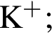 \ChemFormK в сте­пе­ни п люс ;