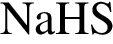 \ChemFormNaHS