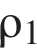 \rho_1