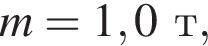 m = 1,0т,