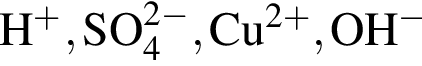 \ChemFormH в сте­пе­ни п люс , SO_4 в сте­пе­ни левая круг­лая скоб­ка 2 минус пра­вая круг­лая скоб­ка , Cu в сте­пе­ни левая круг­лая скоб­ка 2 плюс пра­вая круг­лая скоб­ка , OH в сте­пе­ни м инус 
