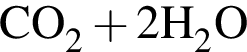 \ChemFormCO_2 плюс 2H_2O