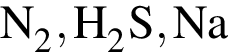 \ChemFormN_2, H_2S, Na