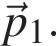 \vecp_1.