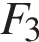 F_3 