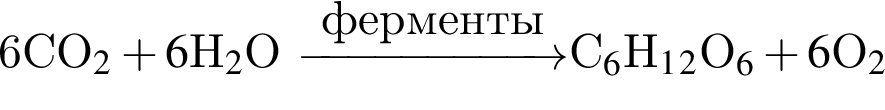  6CO_2 плюс 6$H_2$O \reactrarrow0pt2 cmфер­мен­тыC_6$H_1_2$O_6 плюс 6$O_2 
