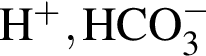 \ChemForm H в сте­пе­ни п люс , HCO_3 в сте­пе­ни м инус 