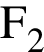 \ChemFormF_2