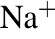 \ChemFormNa в степени п люс