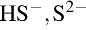 \ChemFormHS в сте­пе­ни м инус , S в сте­пе­ни левая круг­лая скоб­ка 2 минус пра­вая круг­лая скоб­ка 